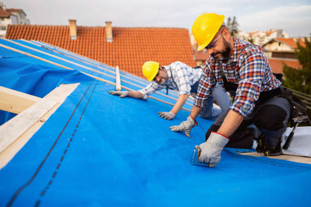 Roof Gutter Cleaning in Lake Mathews, CA